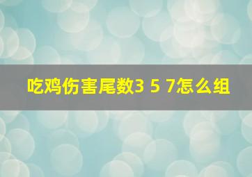 吃鸡伤害尾数3 5 7怎么组